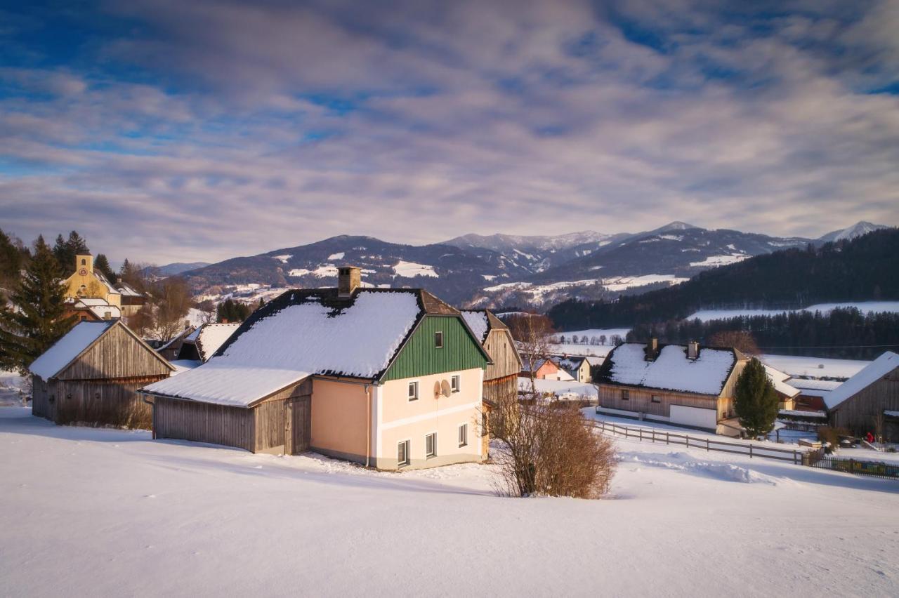 Ferienhaus Schwoellerbauer Sankt Martin am Grimming Dış mekan fotoğraf